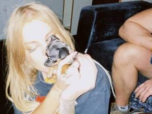 Luísa Sonza mostra nova cachorrinha: 'Britney Spinschers'