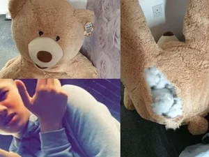 Ladrão se esconde dentro de urso de pelúcia para fugir da polícia; veja