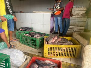 Semana Santa estimula e movimenta comércio de peixe em Palmeira dos Índios