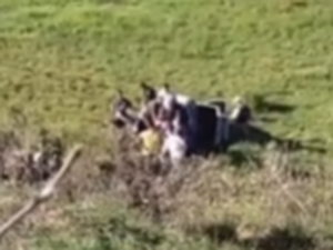 Carro cai em ribanceira após motorista perder o controle na AL-210, em Rio Largo