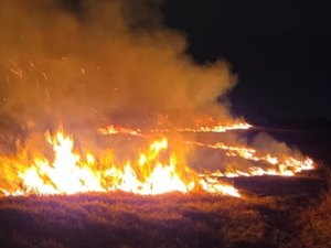 Corpo de Bombeiros registra 16 incêndios em vegetação em um único dia em Alagoas