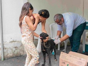 Prefeitura de Maceió inicia campanha de vacinação antirrábica no próximo sábado (2)