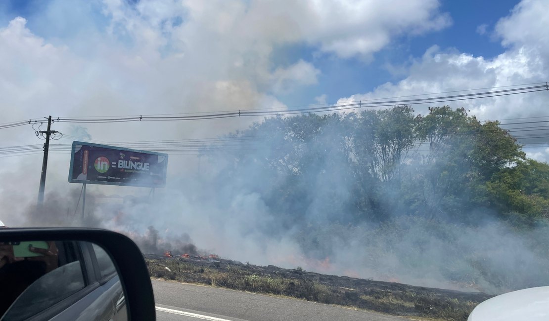 Incêndio em vegetação dificulta visibilidade de motoristas na AL-101 Sul