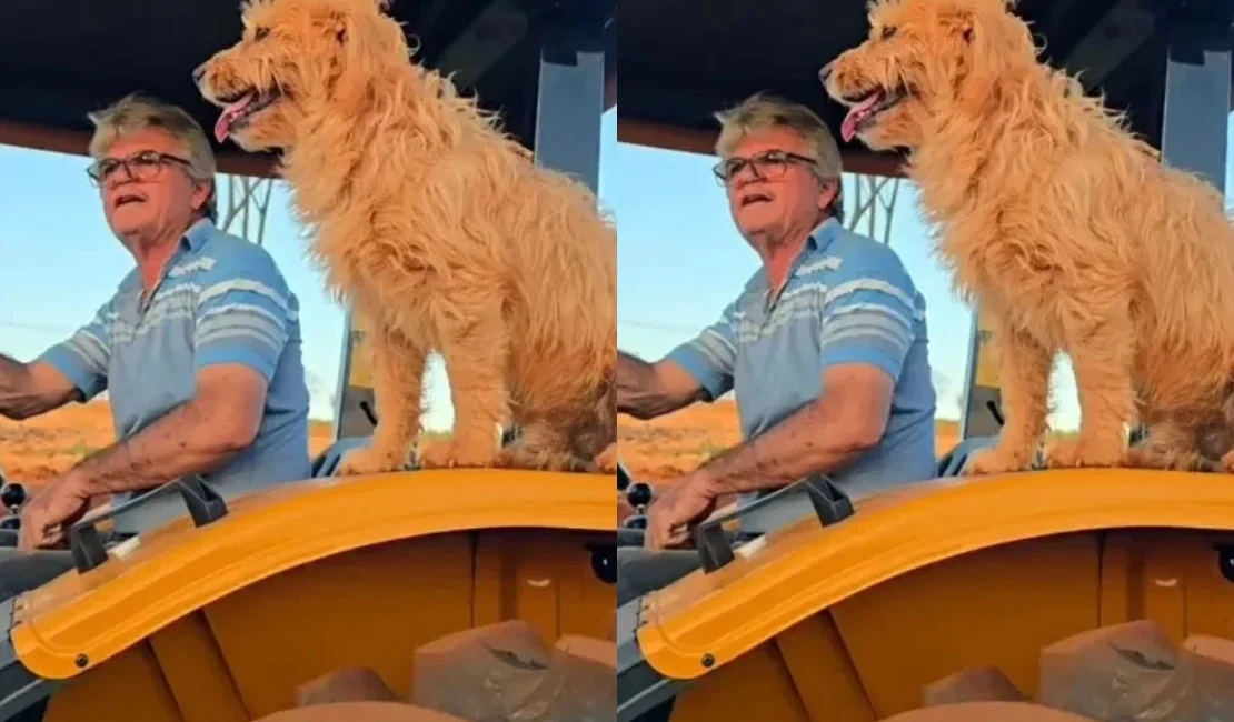 Que grude! Amizade entre cachorro 'carrapato' e tutor conquista a web