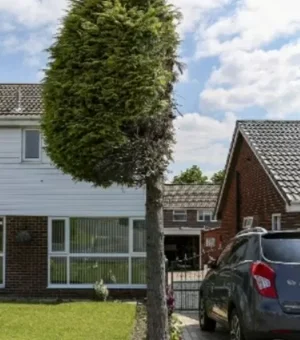 Confusão entre vizinhos termina com árvore podada pela metade na Inglaterra
