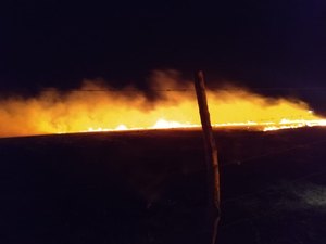 Incêndio de grandes proporções atinge vegetação e ameaça casas na AL-220