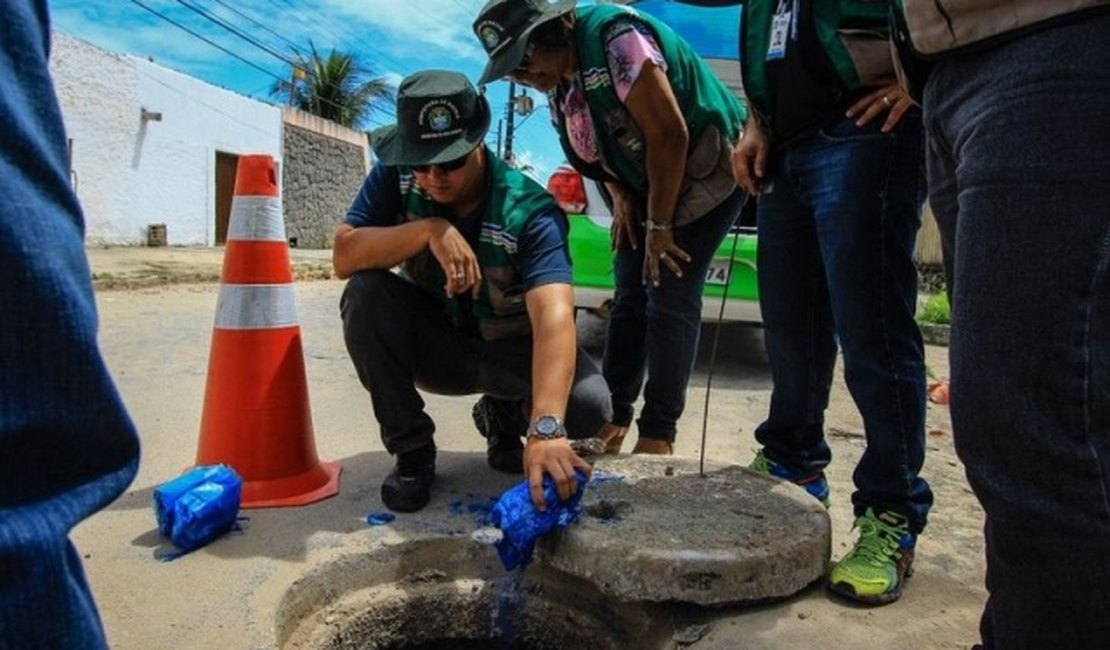 Fiscalização combate crimes ambientais em Maceió