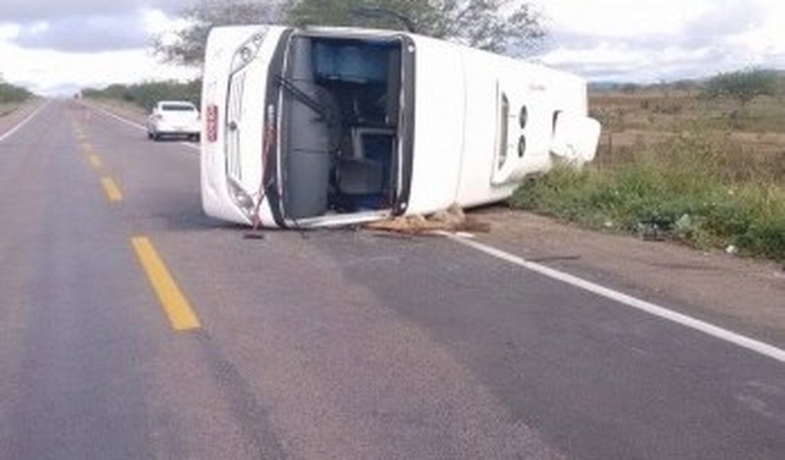 Animal provoca acidente envolvendo micro-ônibus com 19 passageiros na BR-423