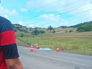 Carro colide contra poste na AL-105 e acidente deixa vítima fatal