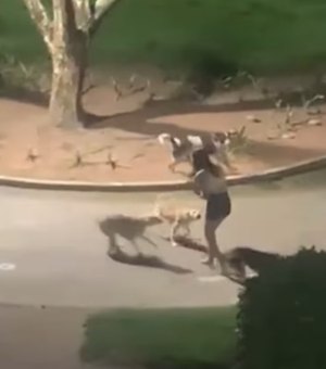 Jovem é cercada por cães no meio da rua em Arapiraca; vídeo registra momento