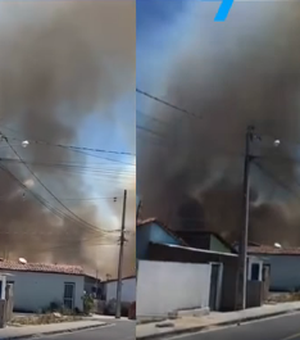 Incêndio volta a atingir zona rural de Cacimbinhas pelo segundo dia consecutivo