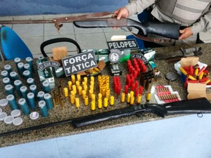 Polícia apreende duas espingardas e cerca de 200 munições em residência 