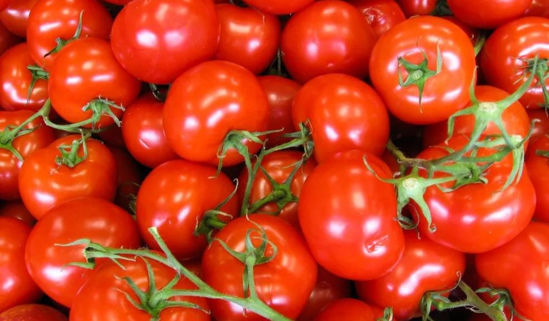 IPCA: tomate é o “vilão” da alta em novembro; confira preços em Maceió
