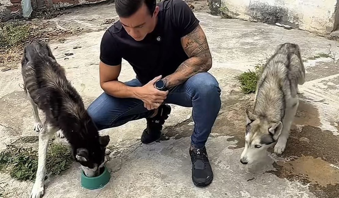 Em Arapiraca, deputado resgata animais com anorexia, anemia e infecção; dono foi detido