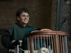 Série de Harry Potter tem diretor de fotografia brasileiro; conheça