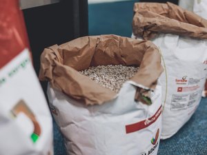 Agricultores familiares podem se inscrever no programa Planta Alagoas até domingo (19)
