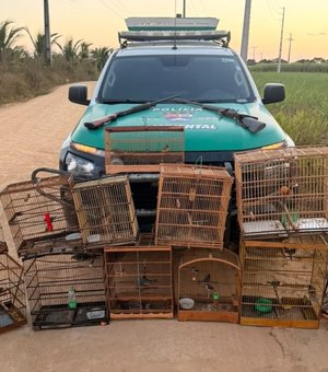 Polícia apreende duas armas e resgata 59 animais silvestres em Alagoas