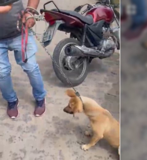 Homem é flagrado arrastando cachorro preso a uma corda com uma moto, em Arapiraca