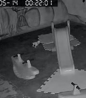 Câmeras de segurança flagram ladrão dentro de escola infantil em Arapiraca