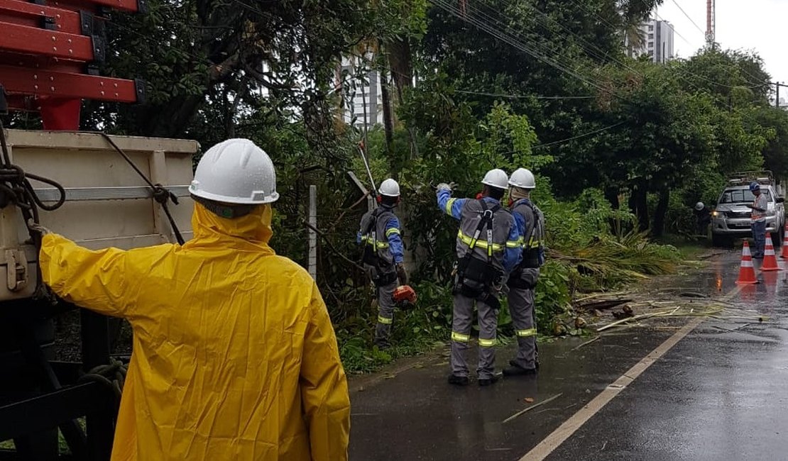 Queda de coqueiro deixa bairros de Maceió sem energia elétrica