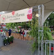 [Vídeo] Feira de flores e plantas ornamentais de Holambra encanta população de Arapiraca