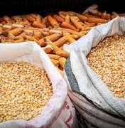 Comissão define áreas de experimento com milho e soja em 2016