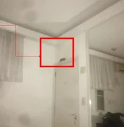 Rato morde mulher em motel de Belo Horizonte; ela será indenizada por danos morais