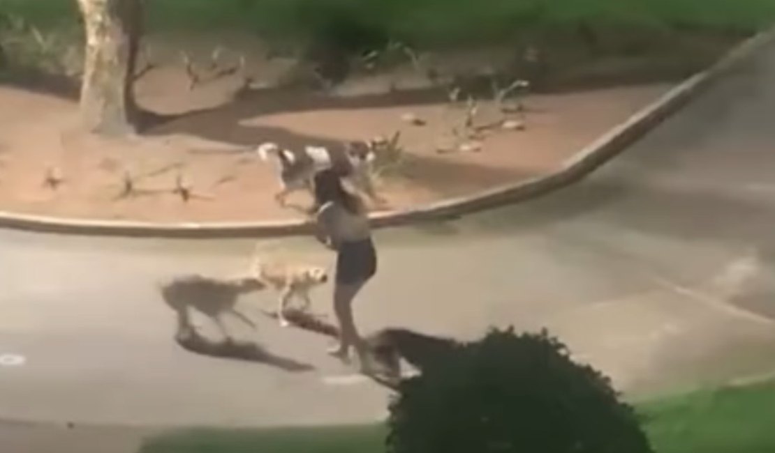 Jovem é cercada por cães no meio da rua em Arapiraca; vídeo registra momento