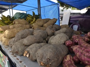 Maceió ganha edição natalina da Feira da Agricultura Familiar