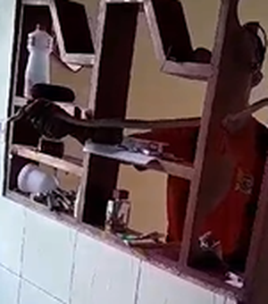 [Vídeo] Bombeiros resgatam cobra de residência em Delmiro Gouveia, no Sertão de AL