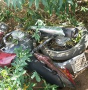 Plantação de mandioca serve como esconderijo para moto roubada