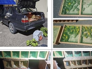 Maior traficante de aves silvestres do país é condenado a 18 anos de prisão