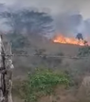 Fogo queima área de vegetação perto de rodovia em Feira Grande