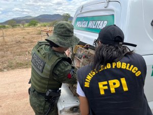 FPI resgata 48 animais em situação de cativeiro irregular no Alto Sertão de AL