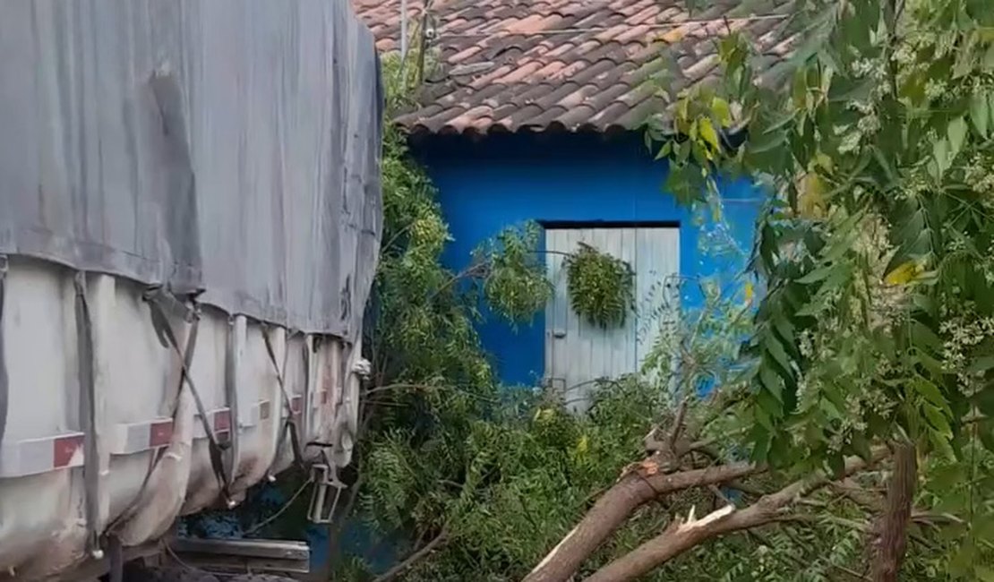 Carreta desgovernada colide em árvores e quase atinge residência em Batalha