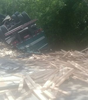 Caminhão carregado de madeira tomba após curva na BR-101