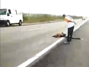 Homem é atropelado na BR-423, em Delmiro Gouveia