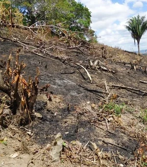 Alagoas e Sergipe são os únicos estados que não registraram incêndios florestais em 48h