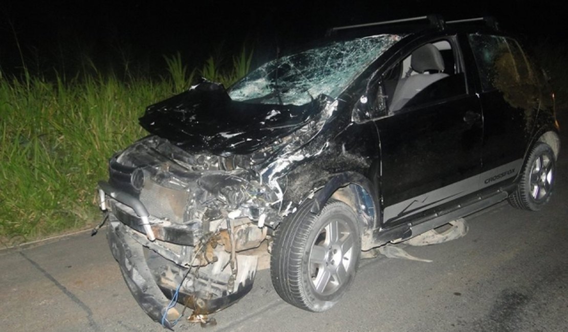 Animais na rodovia AL 220 provocam acidente durante a madrugada