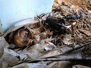 Ossadas humanas estão abandonadas em galpão sujo do IML de Maceió