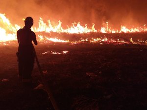 Incêndio de grandes proporções atinge área perto de resort em Maragogi