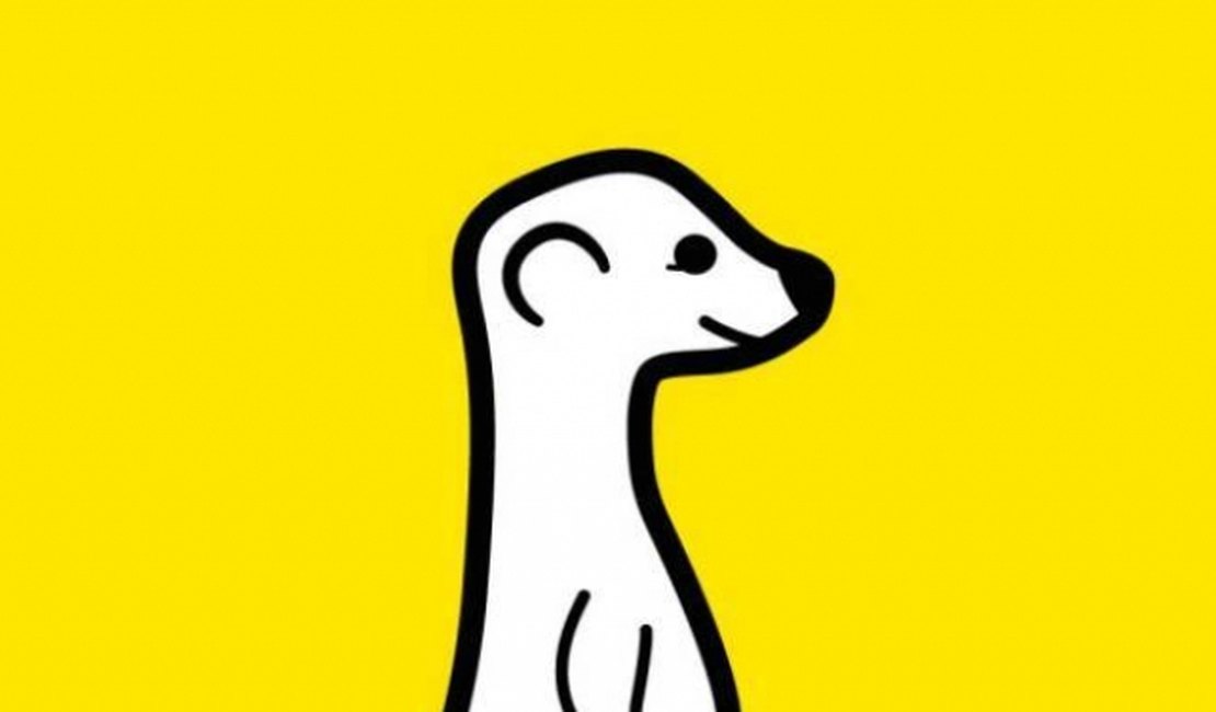 Conheça o Meerkat, aplicativo apontado como 'próximo Twitter'