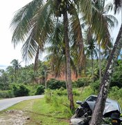 Carro colide contra coqueiro em São Miguel dos Milagres