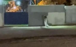 'Noiva' aparece em frente a cemitério e intriga cidade de Goiás