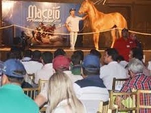 Animais do Leilão Horse?s Show passam por inspeção com técnico durante expoagro
