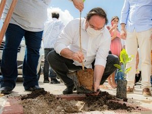 Arapiraca homenageia vítimas da Covid-19 com plantio de ipês-amarelos