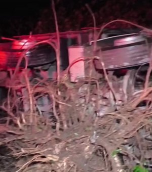 Caminhão tomba e derruba árvore na BR-101 em Colônia Leopoldina