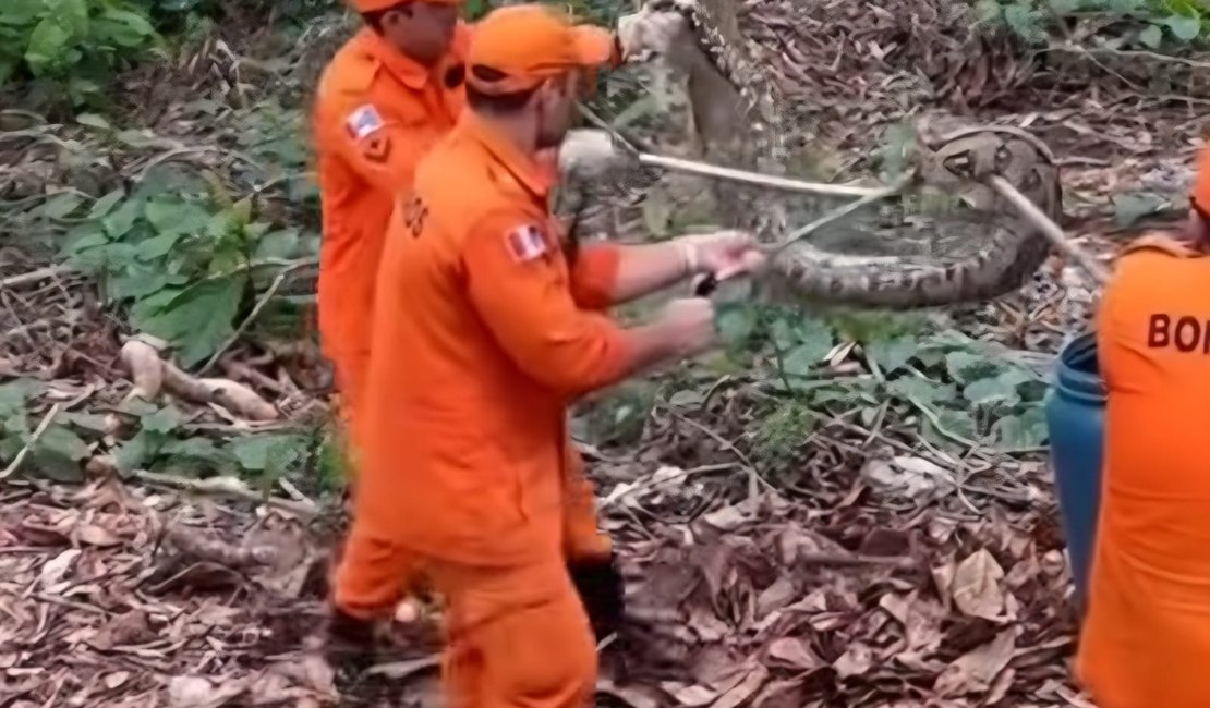 Cobra é capturada no Bosque das Arapiracas; tamanho impressiona moradores