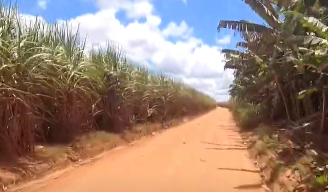 Homem é preso por tráfico de drogas e posse ilegal de arma de fogo na zona rural de Limoeiro de Anadia