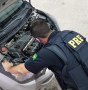 Polícia Rodoviária prende duas pessoas neste final de semana, nas BR 101 e 316